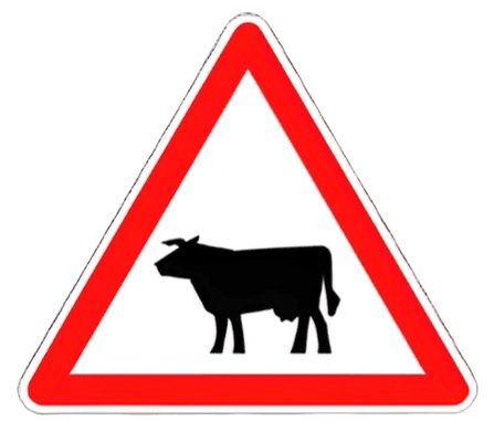 خطر مرور الحيوانات الأليفة