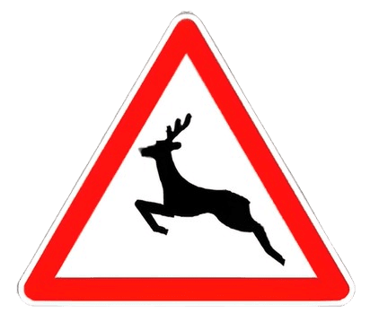 خطر مرور حيوانات متوحشة