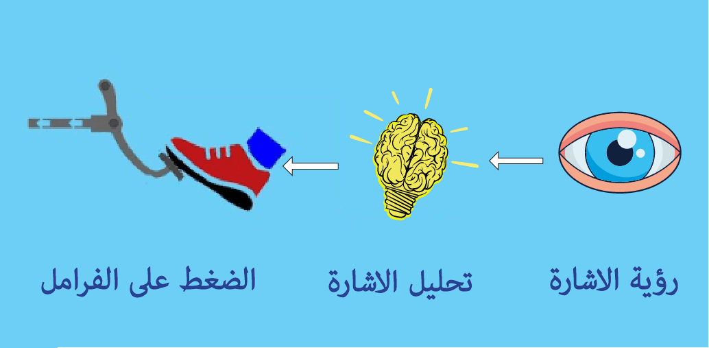 زمن رد الفعل